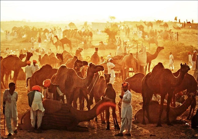 Pushkar